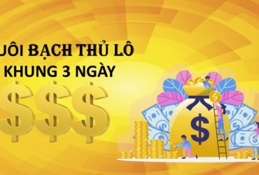 Cách nuôi lô bạch thủ khung 3 ngày chính xác 90%